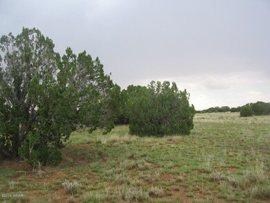 Simon 40 Acres 002