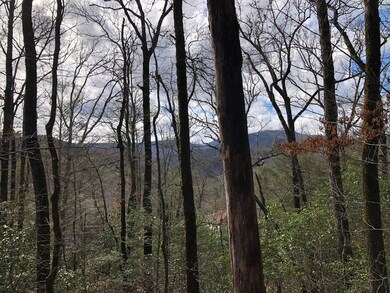 Great Views with Strategic Tree Clearing