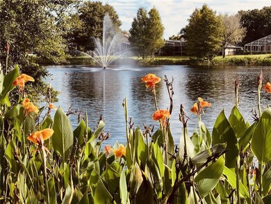 Pond