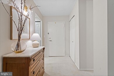 7661 Provincial Dr unit 206, West McLean, VA 22102 - photo 3