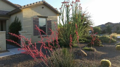 Front Landscape 1