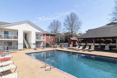 34 Private Road 3057, Oxford, MS 38655 - photo 5