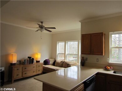 2869 Queensland Dr unit 2869, Henrico, VA 23294 - photo 5