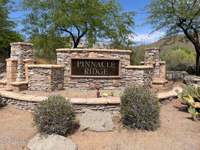 pinnacle ridge entrance
