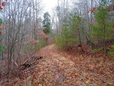 1202191459_HDR
