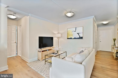 The Apolline unit 215, Washington, DC 20036 - photo 3