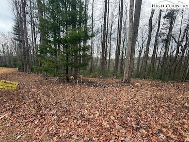 TBD Jobs Rd, Laurel Springs, NC 28644 - photo 2