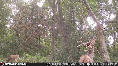 TBD57 E Burns Valley Rd, Winona, MN 55987 - photo 2