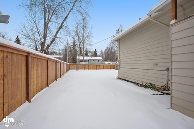 Backyard 7069-SMALL