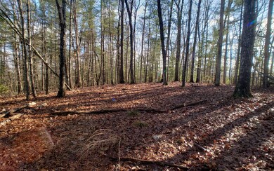 LT 15 My Forest at My Mountain, Morganton, GA 30560 - photo 4