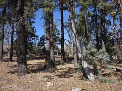 005_Nicely Treed