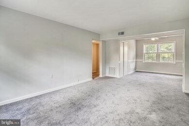 6602 10th St unit B1, Alexandria, VA 22307 - photo 3