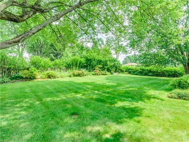 gorgeous back yard