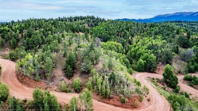 1693 Golden Cycle Cir, Cripple Creek, CO 80813 - photo 5