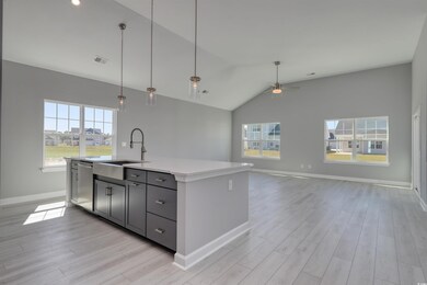 Kitchen with dishwasher, light hardwood / wood-style flooring, plenty of natural light, and hanging light fixtures