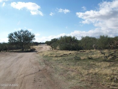Lost Valley Loop Streetscape South