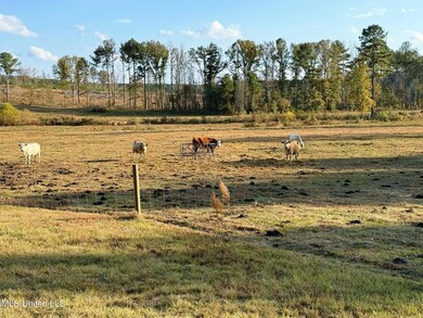 0 Zion Rd unit 4132047, Walnut Grove, MS 39189 - photo 3