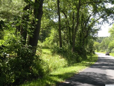 0 Adams Rd unit 144252, Coxsackie, NY 12051 - photo 3