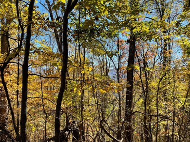 0 Royal Oaks Trail unit 23615967, Young Harris, GA 30582 - photo 5