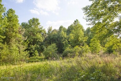 0 Cutchin Farm Rd unit 100147845, Tarboro, NC 27886 - photo 6