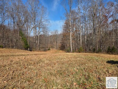 00 Mount Vernon Rd, Axton, VA 24054 - photo 7