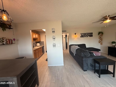 Main Living Area