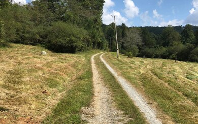 0 Chatsworth Hwy unit 282039, Ellijay, GA 30540 - photo 4