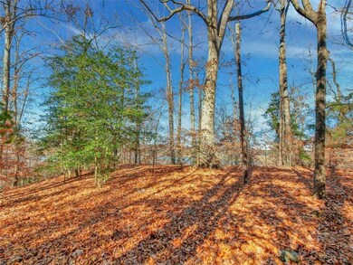 TBD Marina Dr, Surry, VA 23842 - photo 4