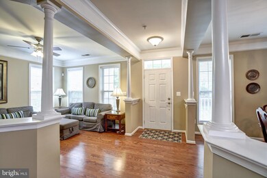 41959 Blue Flag Terrace, Stone Ridge, VA 20105 - photo 4