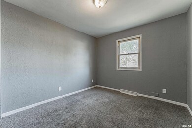 102 E 8th St, Delavan, IL 61734 - photo 6