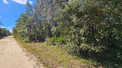 0 Neilsen Ave unit 25581217, Interlachen, FL 32148 - photo 6