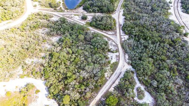 239 Crystal Lake Dr, Lake Placid, FL 33852 - photo 5