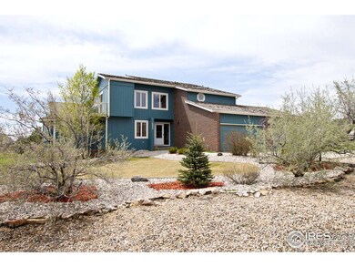 low maintenance yard