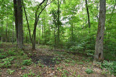 5533 Pisgah Covered Bridge Rd, Asheboro, NC 27205 - photo 5