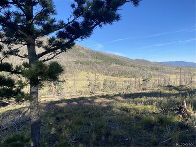 2283 Wohlstetter Loop, Fort Garland, CO 81133 - photo 4