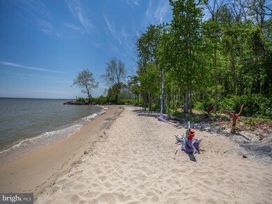 4310 Flora Ave, Prince Frederick, MD 20678 - photo 5