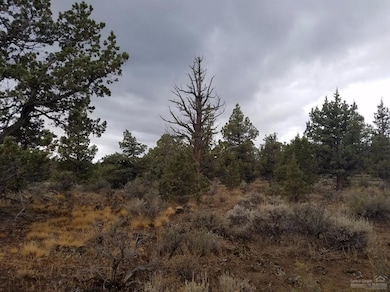 61811 Ten Barr Ranch Rd, Bend, OR 97701 - photo 4