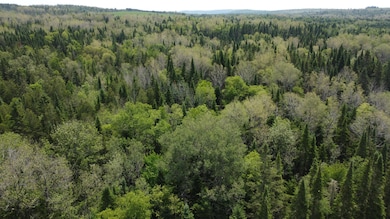 DJI_0972