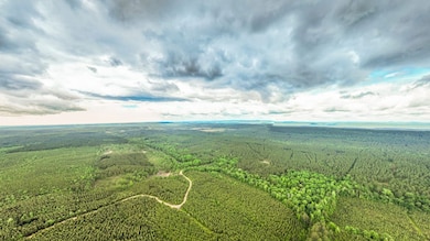 0 Shawmut Rd, Murfreesboro, AR 71958 - photo 6