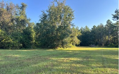 0 Highway 100 unit 128519, Lake Butler, FL - photo 5