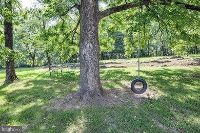 222 Farris Ln, Winchester, VA 22603 - photo 6