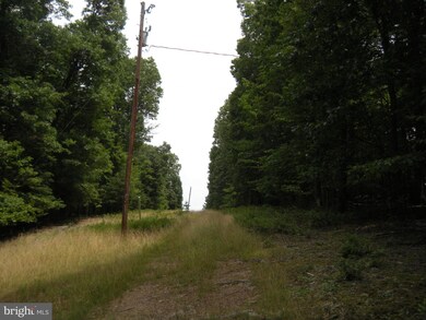 46 ACRES Nettle Ln, Gainesboro, VA 22603 - photo 2