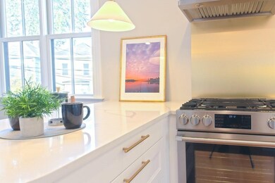 18 Porter St unit 1, Jamaica Plain, MA 02130 - photo 6