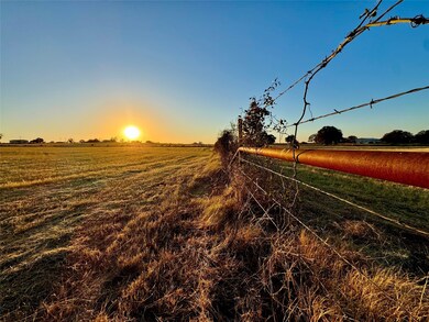 14114 Howard Lake Ct, Lipan, TX 76462 - photo 4