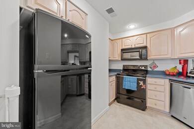 11234 Harbor Ct unit 11234, Reston, VA 20191 - photo 7