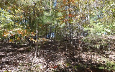 446BL Riverview Dr, Ellijay, GA 30540 - photo 4