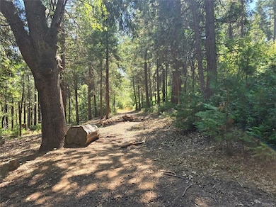 0 Lovers Ln unit 32502072, Crestline, CA 92322 - photo 5