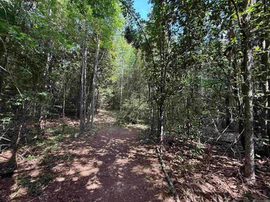 00 Montgomery Rd, Summit, MS 39666 - photo 5