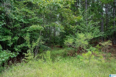 220 Boathouse Cir unit 220, Fayetteville, AL 35151 - photo 5