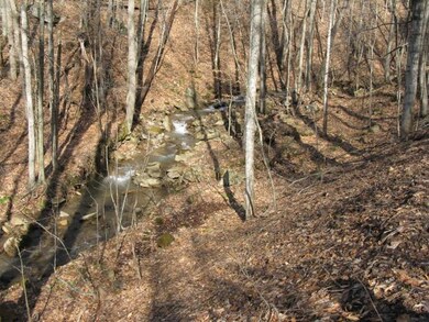 Owens Branch Creek